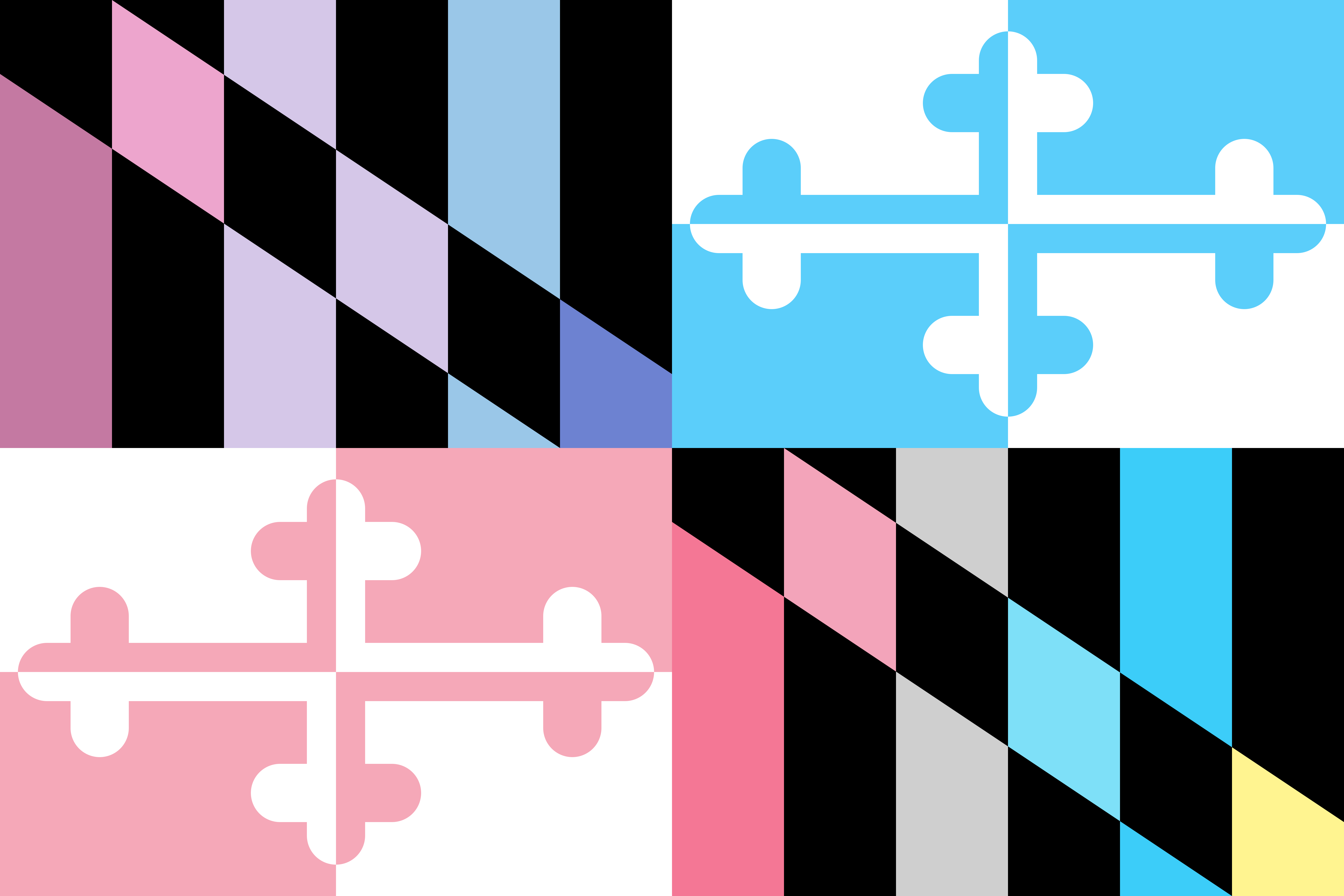 MD Trans Pride